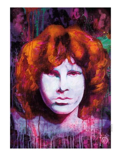 Le visage de Jim Morison en art digital, par l'artiste numérique Didier Chastan
