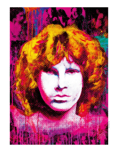 Le visage de Jim Morison en art digital par l'artiste numérique Didier Chastan