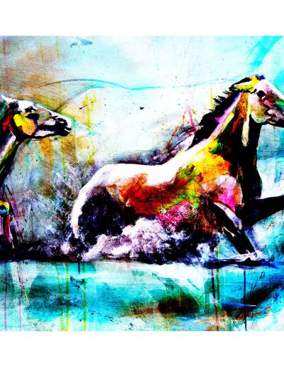 Digital Art didier chastan ariste granoblois