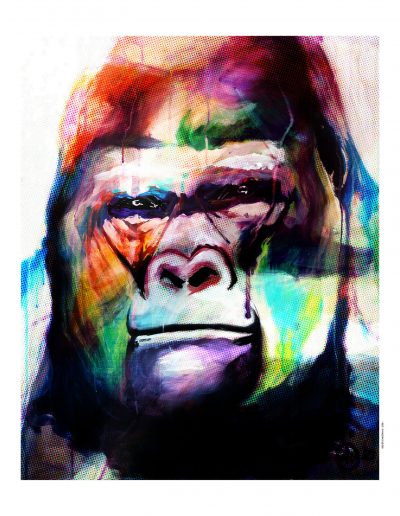 L'artiste digital Didier Chastan s'exprime à travers les yeux des singes