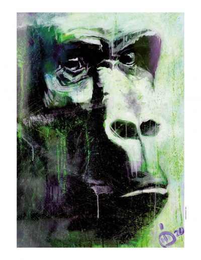 art digital le regard d'un singe