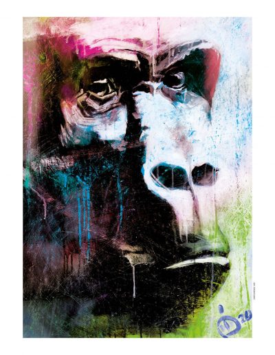 l'expression du singe à travers la peinture de Diddier Chastan