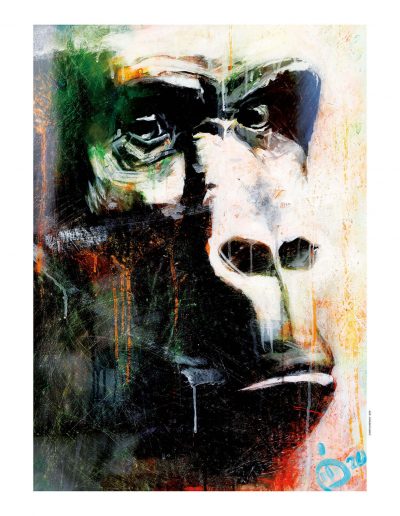 regard de singe en peinture