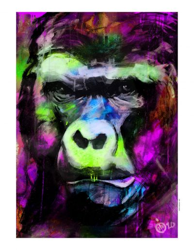 peinture de visage de singe