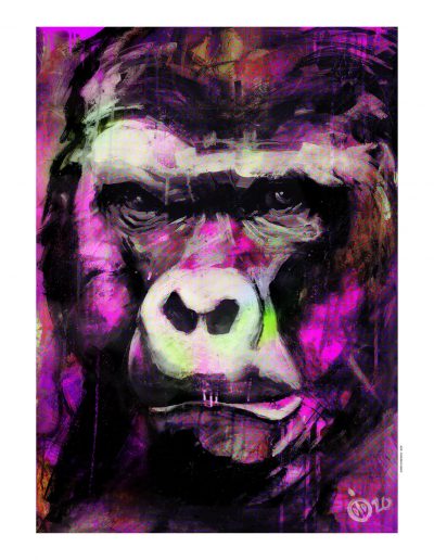 portrait du singe par didier chastan